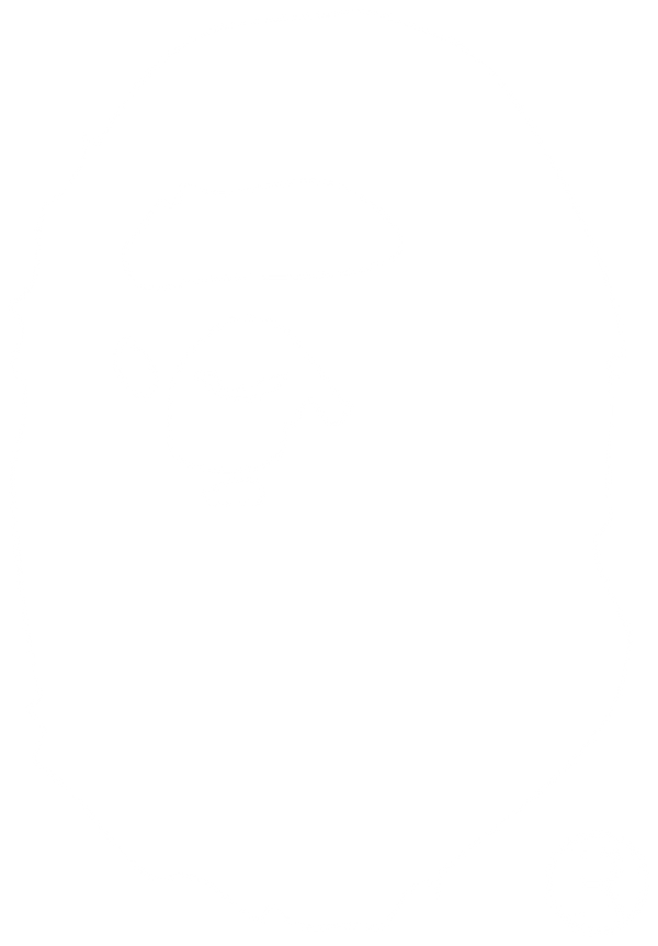 Bape